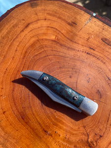 Small folding pocket knife in 440c stainless steel.