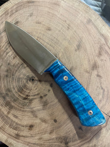 Hunting knife in high carbon steel and blue curly cottonwood